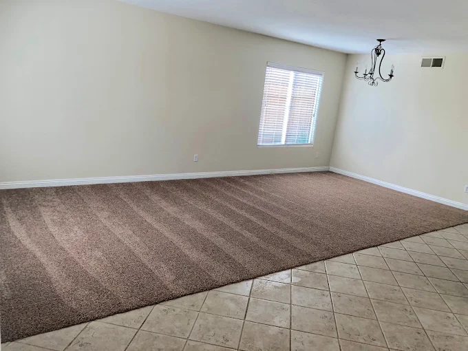 Freshly steamed carpet with crisp, even vacuum lines