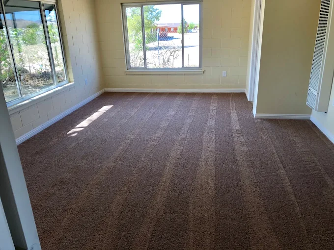 A bright, empty room with freshly cleaned carpet, ready for move-in